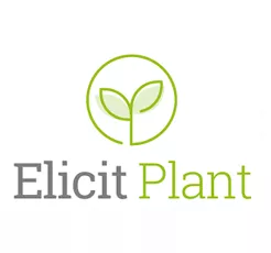 elicit plant